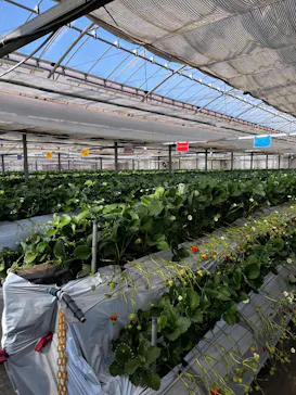 高津園に投稿された画像（2026/2/21）