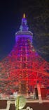 東京タワーに投稿された画像（2026/2/21）