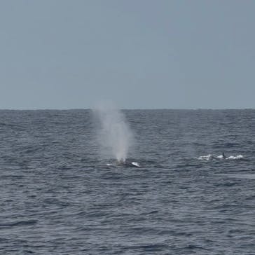 Sea World（シーワールド）に投稿された画像（2026/2/21）