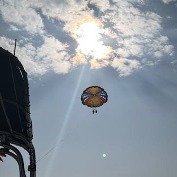 Sea World（シーワールド）に投稿された画像（2026/2/21）