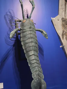 特別展「大絶滅展―生命史のビッグファイブ」に投稿された画像（2026/2/21）