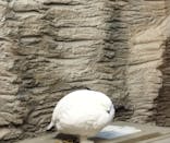 那須どうぶつ王国に投稿された画像（2026/2/21）