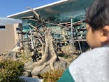 天王寺動物園に投稿された画像（2026/2/21）