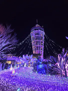 江の島シーキャンドルに投稿された画像（2026/2/21）