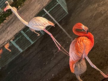 東武動物公園に投稿された画像（2026/2/21）