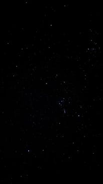 大井川鐵道株式会社に投稿された画像（2026/2/21）