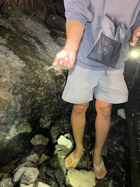 NATURE SHOP PAOに投稿された画像（2026/2/21）