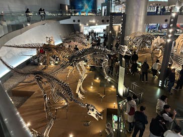 福井県立恐竜博物館に投稿された画像（2026/2/21）