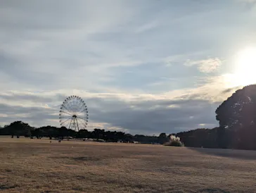 国営ひたち海浜公園プレジャーガーデンに投稿された画像（2026/2/21）