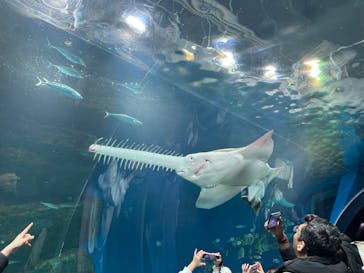 マクセル アクアパーク品川に投稿された画像（2026/2/21）