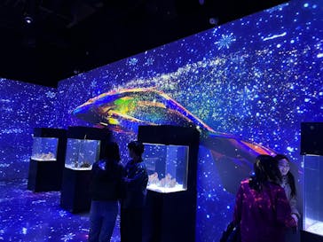 マクセル アクアパーク品川に投稿された画像（2026/2/21）