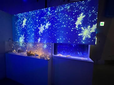 マクセル アクアパーク品川に投稿された画像（2026/2/21）