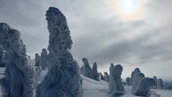 田沢湖アウトドアツアーに投稿された画像（2026/2/21）