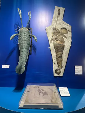 特別展「大絶滅展―生命史のビッグファイブ」に投稿された画像（2026/2/21）