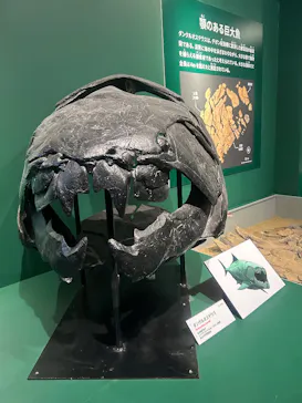 特別展「大絶滅展―生命史のビッグファイブ」に投稿された画像（2026/2/21）