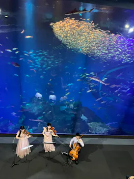 アクアワールド茨城県大洗水族館に投稿された画像（2026/2/22）