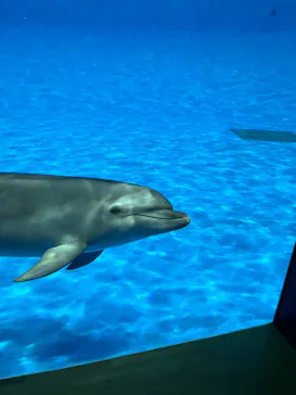 アクアワールド茨城県大洗水族館に投稿された画像（2026/2/22）