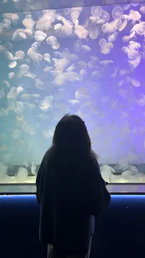 アクアワールド茨城県大洗水族館に投稿された画像（2026/2/22）