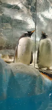 名古屋港水族館に投稿された画像（2026/2/22）