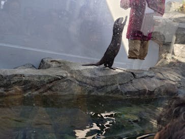 四国水族館に投稿された画像（2026/2/22）