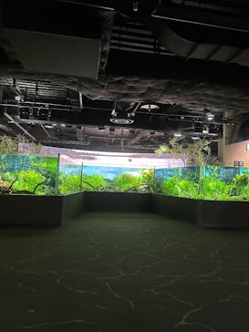 カワスイ 川崎⽔族館に投稿された画像（2026/2/22）