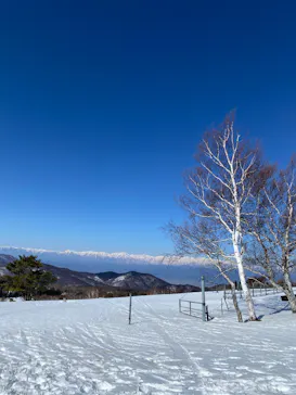 菅平高原スノーリゾートに投稿された画像（2026/2/22）