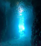 武藤潜水に投稿された画像（2026/2/22）