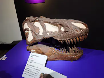 特別展「大絶滅展―生命史のビッグファイブ」に投稿された画像（2026/2/22）