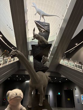 福井県立恐竜博物館に投稿された画像（2026/2/22）