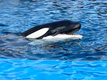 名古屋港水族館に投稿された画像（2026/2/22）