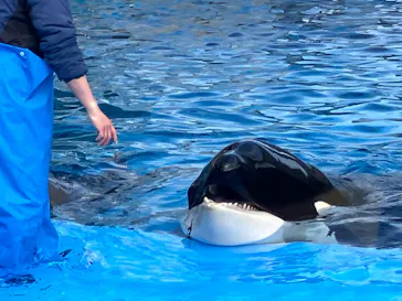 名古屋港水族館に投稿された画像（2026/2/22）