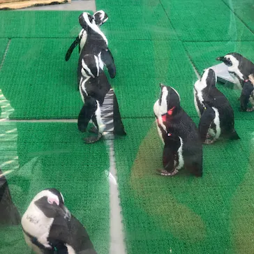 名古屋港水族館に投稿された画像（2026/2/22）