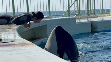 鴨川シーワールドに投稿された画像（2026/2/22）