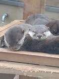 日立市かみね動物園に投稿された画像（2026/2/22）