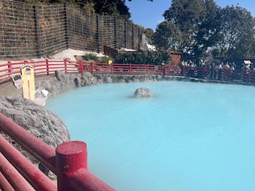 べっぷ地獄めぐりに投稿された画像（2026/2/22）