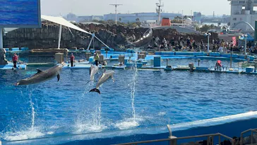 名古屋港水族館に投稿された画像（2026/2/22）