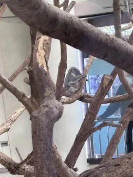 こども動物自然公園（埼玉県公園緑地協会）に投稿された画像（2026/2/22）