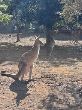こども動物自然公園（埼玉県公園緑地協会）に投稿された画像（2026/2/22）