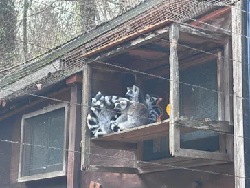 こども動物自然公園（埼玉県公園緑地協会）に投稿された画像（2026/2/22）