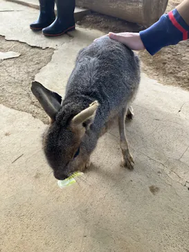 横浜・八景島シーパラダイスに投稿された画像（2026/2/22）