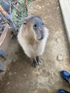 横浜・八景島シーパラダイスに投稿された画像（2026/2/22）