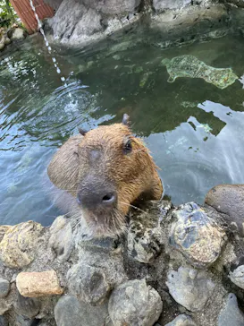 横浜・八景島シーパラダイスに投稿された画像（2026/2/22）