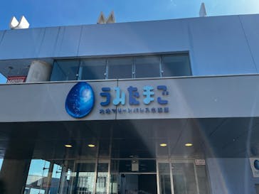 大分マリーンパレス水族館 「うみたまご」に投稿された画像（2026/2/22）