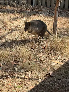 こども動物自然公園（埼玉県公園緑地協会）に投稿された画像（2026/2/22）