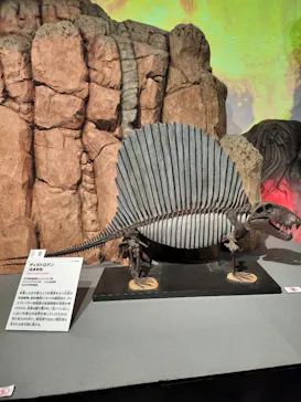 特別展「大絶滅展―生命史のビッグファイブ」に投稿された画像（2026/2/22）