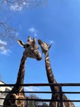 宇都宮動物園に投稿された画像（2026/2/22）