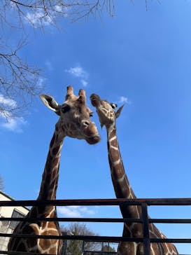 宇都宮動物園に投稿された画像（2026/2/22）