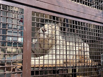 宇都宮動物園に投稿された画像（2026/2/22）