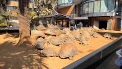 体感型動物園iZooに投稿された画像（2026/2/22）