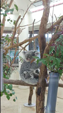 こども動物自然公園（埼玉県公園緑地協会）に投稿された画像（2026/2/22）